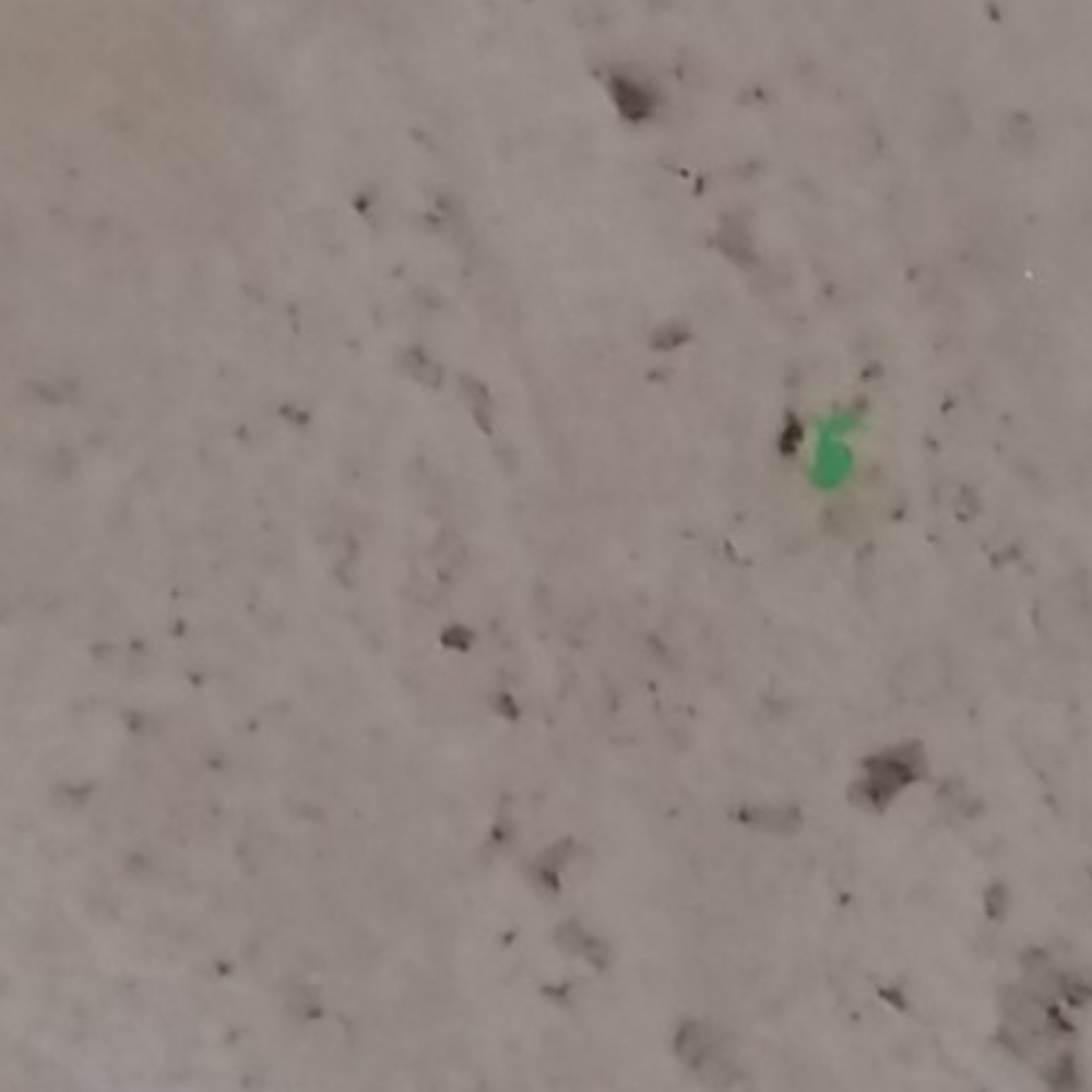 Test - Picture 12 of 16